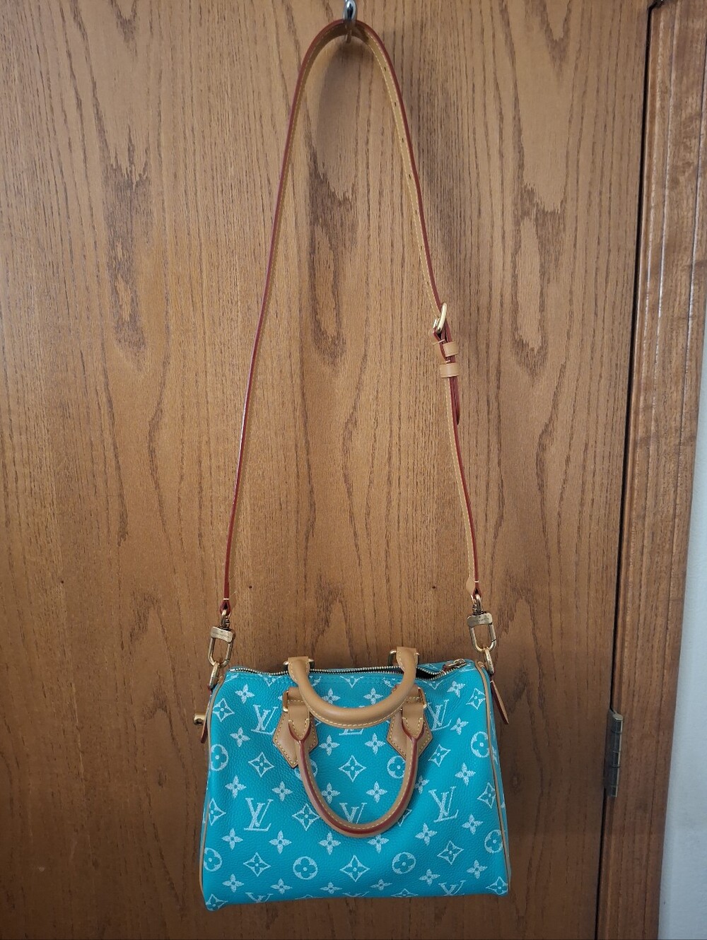 Turquoise Monogram Speedy 25 Luxury Handbag - Picture 14 of 15